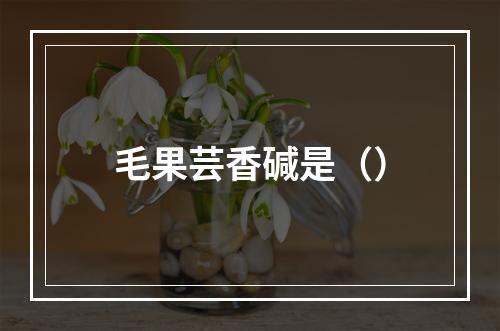 毛果芸香碱是（）