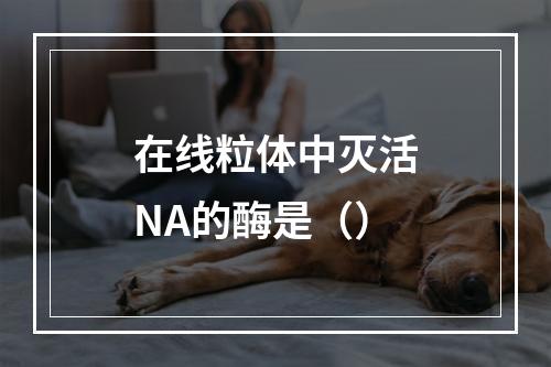 在线粒体中灭活NA的酶是（）