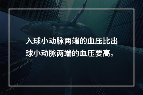 入球小动脉两端的血压比出球小动脉两端的血压要高。