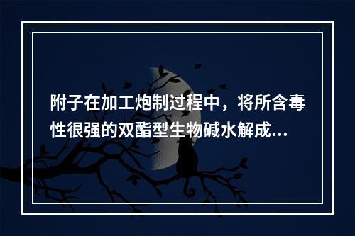 附子在加工炮制过程中，将所含毒性很强的双酯型生物碱水解成醇胺