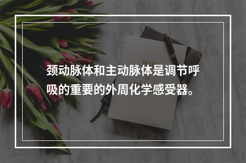 颈动脉体和主动脉体是调节呼吸的重要的外周化学感受器。