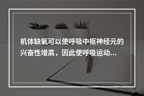 机体缺氧可以使呼吸中枢神经元的兴奋性增高，因此使呼吸运动增强