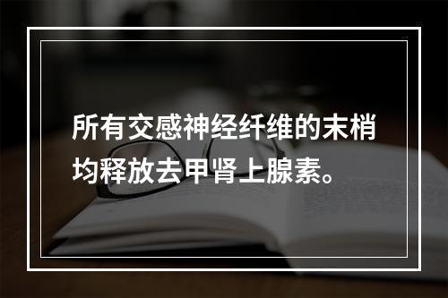 所有交感神经纤维的末梢均释放去甲肾上腺素。