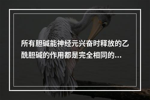 所有胆碱能神经元兴奋时释放的乙酰胆碱的作用都是完全相同的。