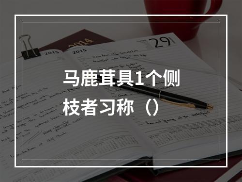 马鹿茸具1个侧枝者习称（）