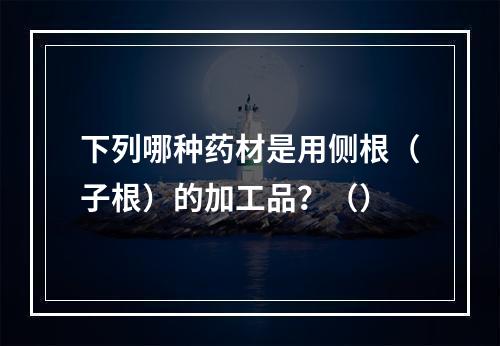 下列哪种药材是用侧根（子根）的加工品？（）