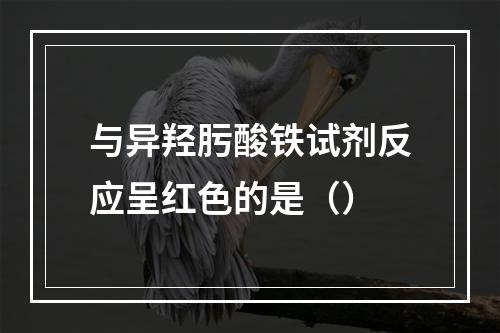 与异羟肟酸铁试剂反应呈红色的是（）