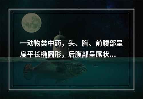 一动物类中药，头、胸、前腹部呈扁平长椭圆形，后腹部呈尾状，皱