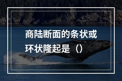 商陆断面的条状或环状隆起是（）