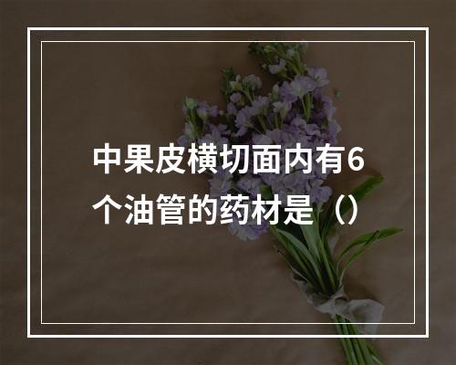 中果皮横切面内有6个油管的药材是（）