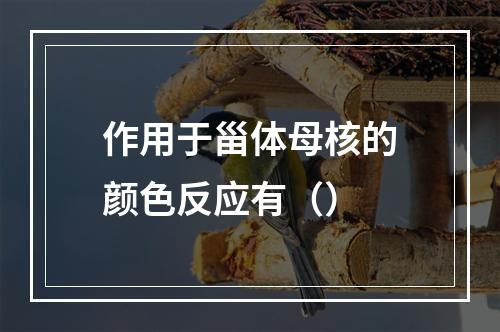 作用于甾体母核的颜色反应有（）