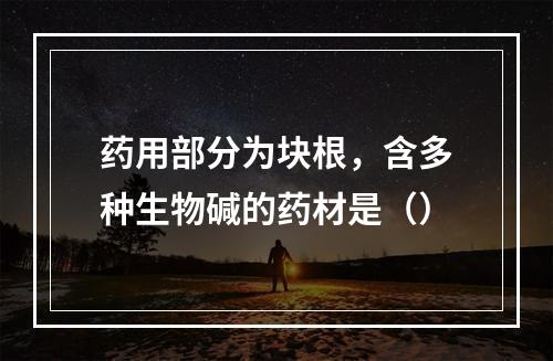 药用部分为块根，含多种生物碱的药材是（）