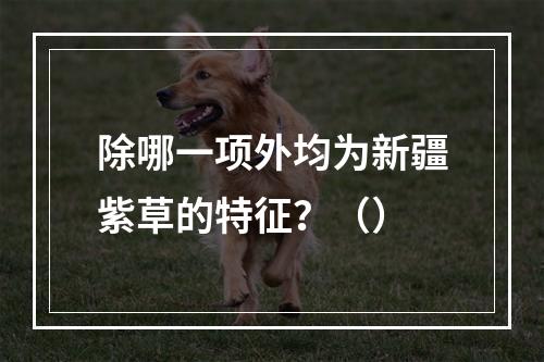 除哪一项外均为新疆紫草的特征？（）