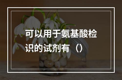 可以用于氨基酸检识的试剂有（）