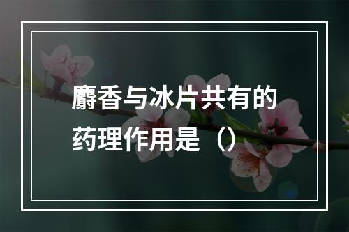 麝香与冰片共有的药理作用是（）