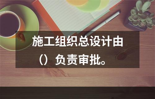 施工组织总设计由（）负责审批。