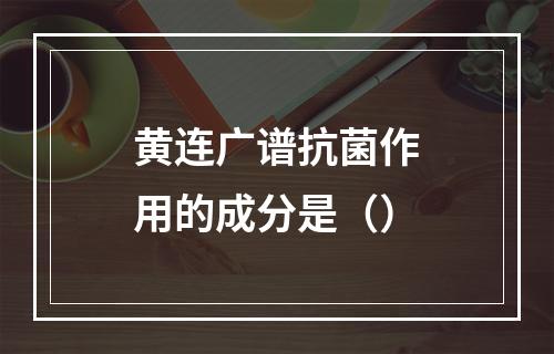 黄连广谱抗菌作用的成分是（）