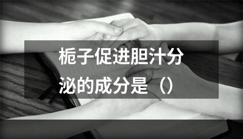 栀子促进胆汁分泌的成分是（）