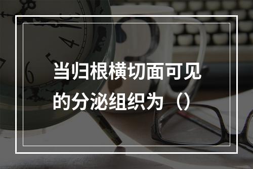 当归根横切面可见的分泌组织为（）