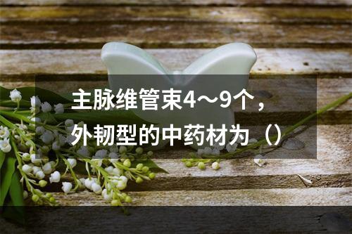 主脉维管束4～9个，外韧型的中药材为（）