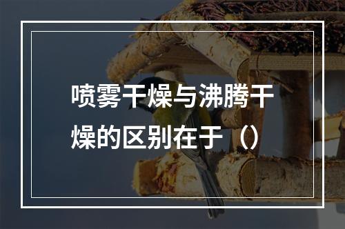 喷雾干燥与沸腾干燥的区别在于（）