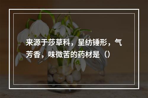 来源于莎草科，呈纺锤形，气芳香，味微苦的药材是（）