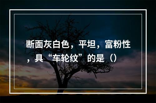 断面灰白色，平坦，富粉性，具“车轮纹”的是（）