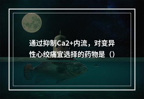 通过抑制Ca2+内流，对变异性心绞痛宜选择的药物是（）