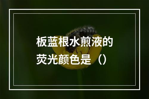 板蓝根水煎液的荧光颜色是（）