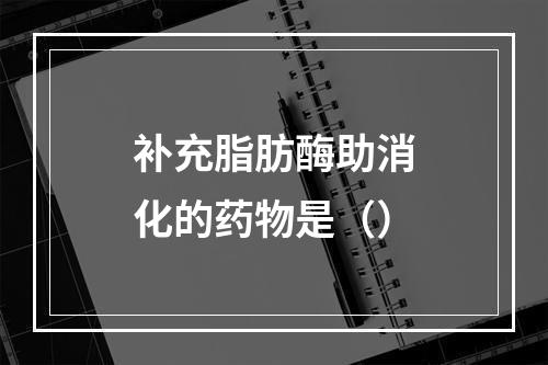 补充脂肪酶助消化的药物是（）