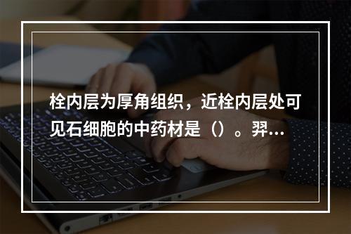 栓内层为厚角组织，近栓内层处可见石细胞的中药材是（）。羿才教