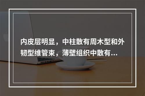 内皮层明显，中柱散有周木型和外韧型维管束，薄壁组织中散有油细