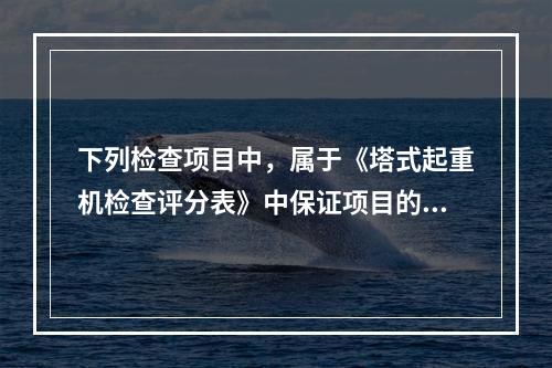 下列检查项目中，属于《塔式起重机检查评分表》中保证项目的有（