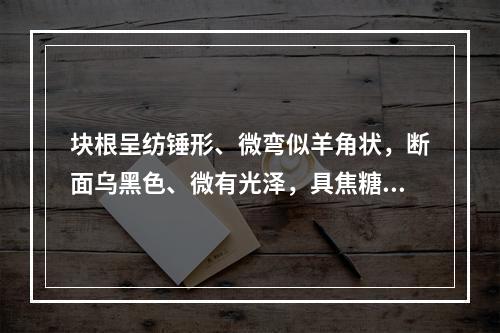 块根呈纺锤形、微弯似羊角状，断面乌黑色、微有光泽，具焦糖气，