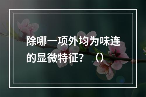 除哪一项外均为味连的显微特征？（）