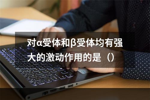 对α受体和β受体均有强大的激动作用的是（）