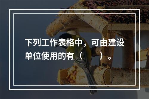 下列工作表格中，可由建设单位使用的有（　　）。