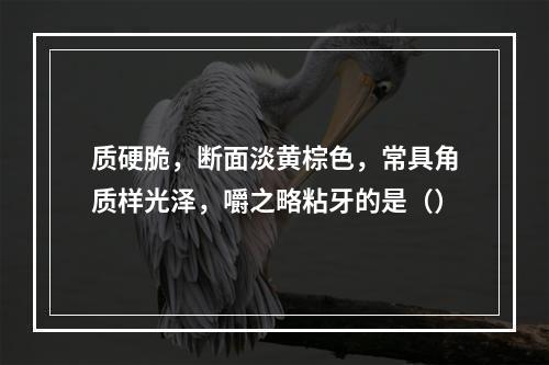 质硬脆，断面淡黄棕色，常具角质样光泽，嚼之略粘牙的是（）