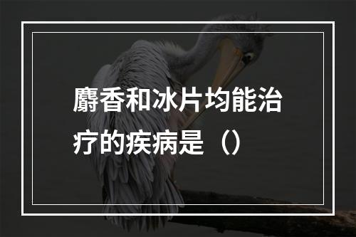 麝香和冰片均能治疗的疾病是（）