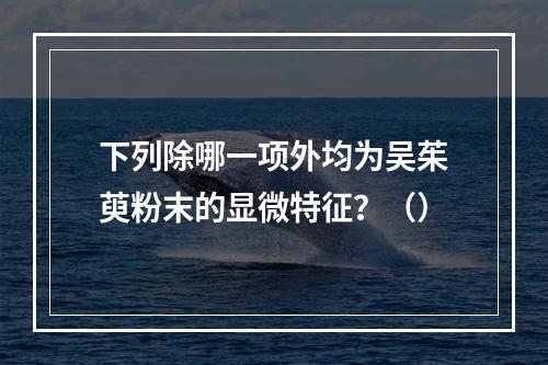 下列除哪一项外均为吴茱萸粉末的显微特征？（）