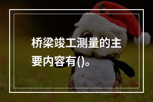 桥梁竣工测量的主要内容有()。