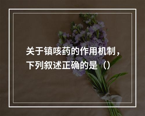 关于镇咳药的作用机制，下列叙述正确的是（）