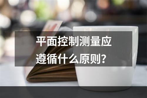 平面控制测量应遵循什么原则？