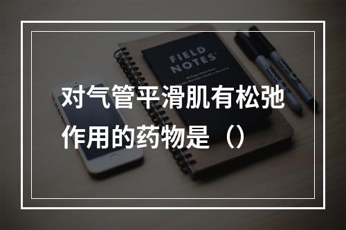 对气管平滑肌有松弛作用的药物是（）