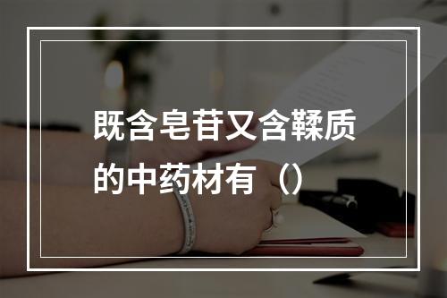 既含皂苷又含鞣质的中药材有（）