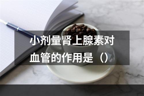 小剂量肾上腺素对血管的作用是（）