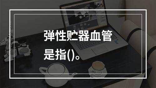 弹性贮器血管是指()。