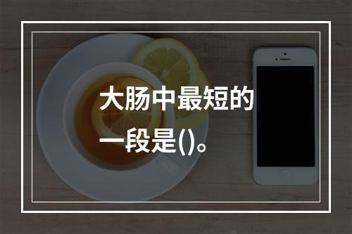 大肠中最短的一段是()。