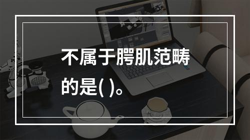 不属于腭肌范畴的是( )。