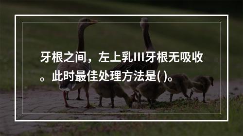 牙根之间，左上乳Ⅲ牙根无吸收。此时最佳处理方法是( )。